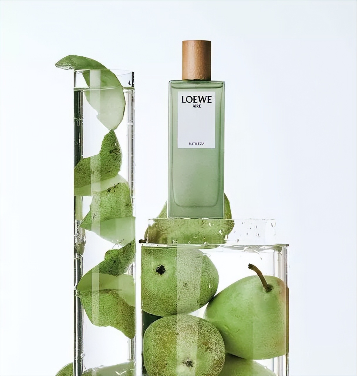 被追着问800遍的香水,被追问的香水