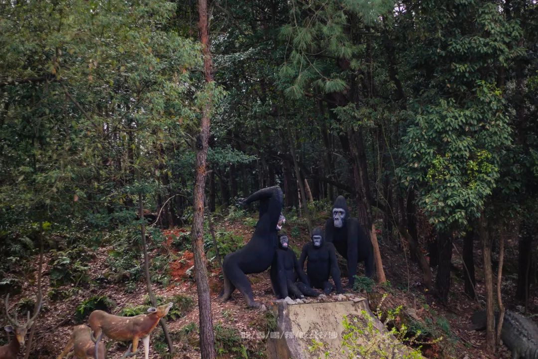 长沙攻略非热门,长沙旅游攻略免费存行李