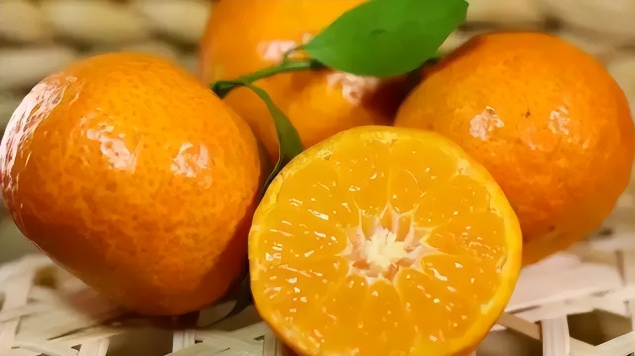 最大的沙糖桔到底有多大,进贡沙糖桔最有名产地