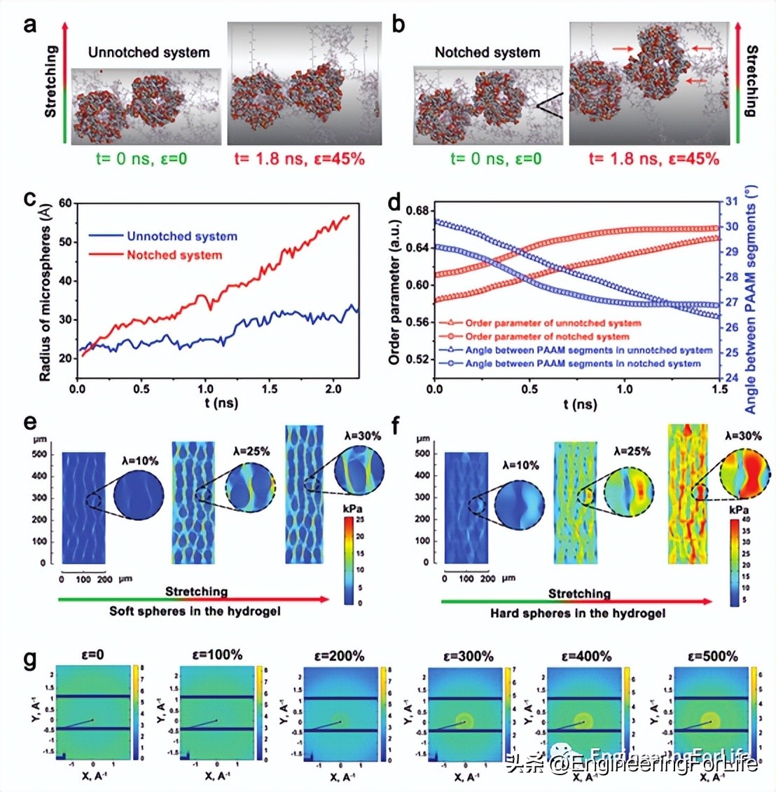 afm在纳米材料上的应用,afm有何应用