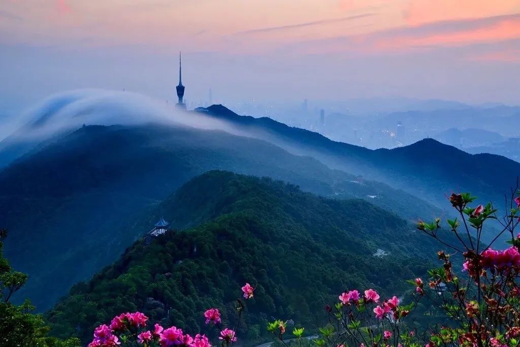 梧桐山外深圳还有哪些山值得一游,东莞银瓶山和深圳梧桐山哪个难爬