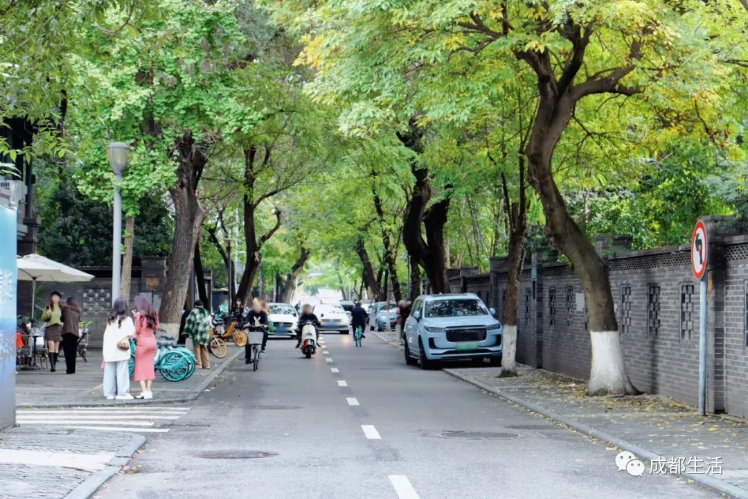 12条时髦老街，长满晒太阳的成都人