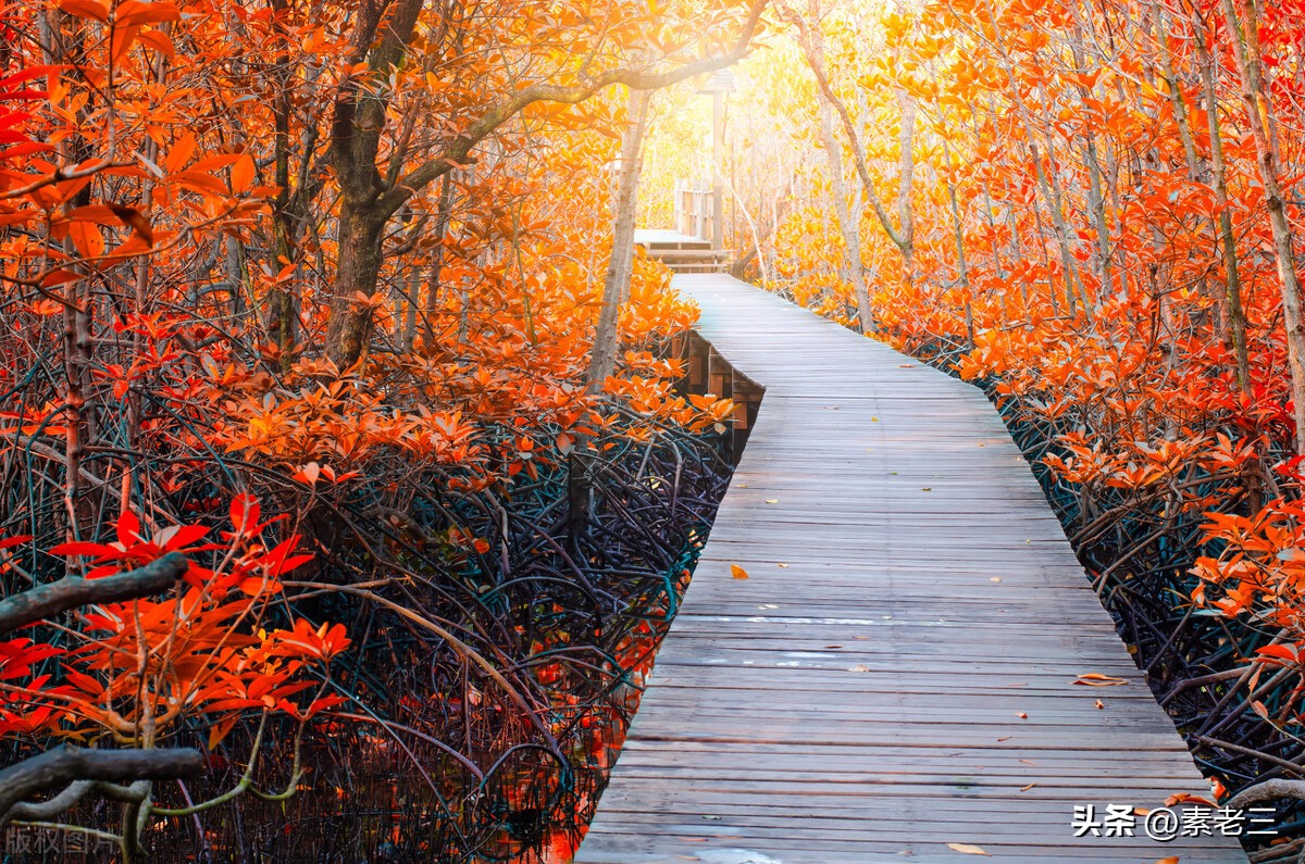 女作家去做保姆463,女作家去做保姆584