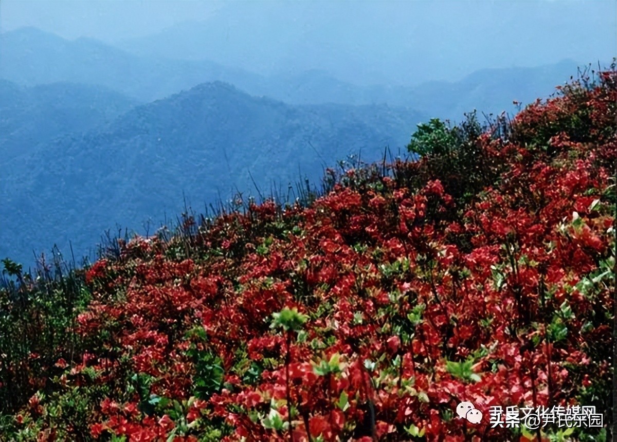 和美阳明·盛世花开：天下第一“和山”