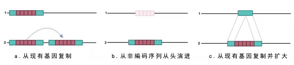 史莱姆原神进化史,史莱姆进化史是真的吗