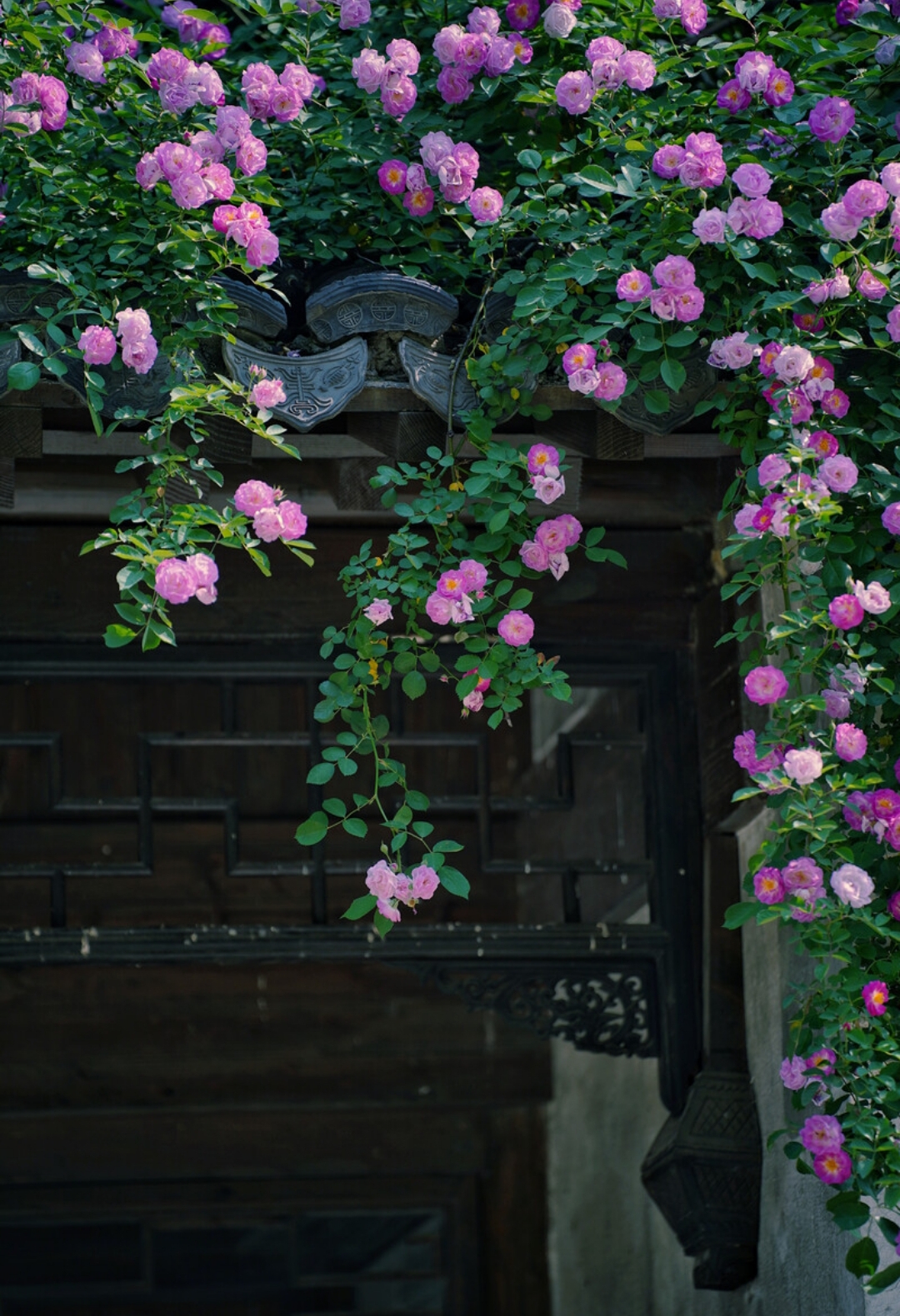 六月再见七月你好忘掉该忘掉的人,六月再见七月你好不为往事忧