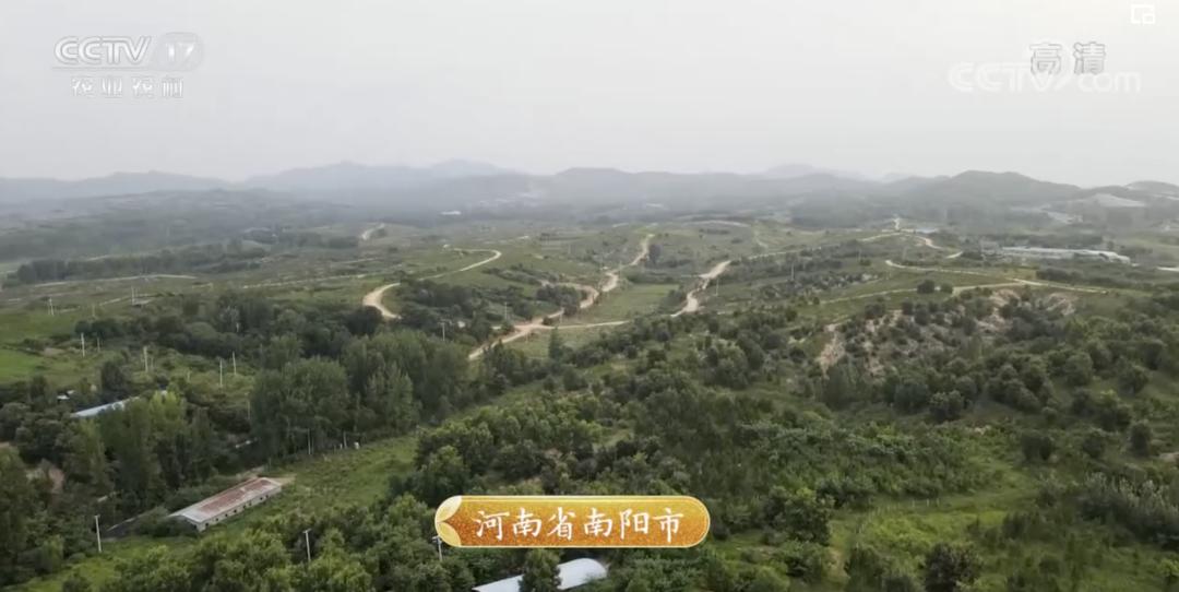 5万只鸡蛋一年能赚多少钱,一年卖1000万个鸡蛋