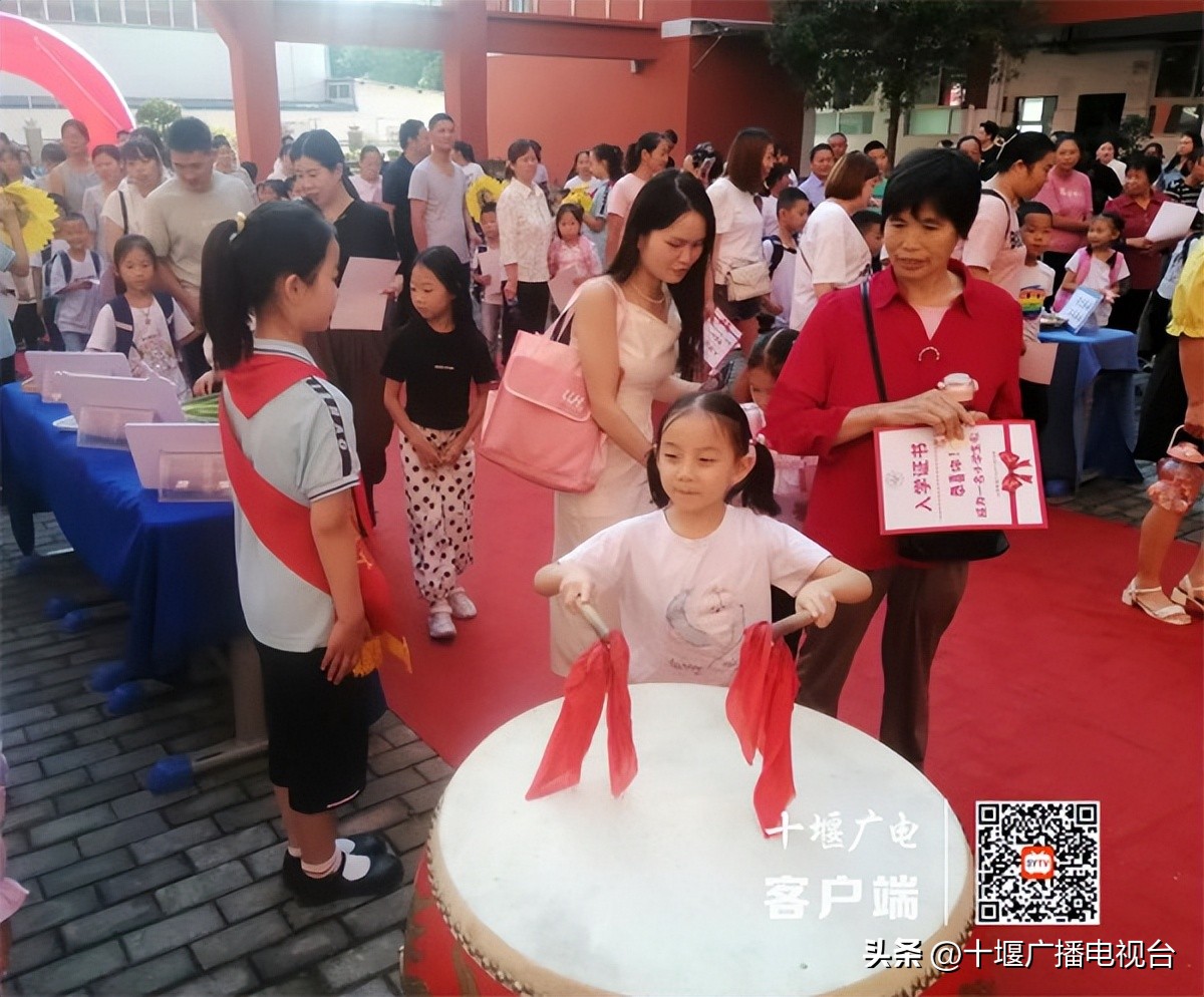 你好萌新是什么意思,你好萌新