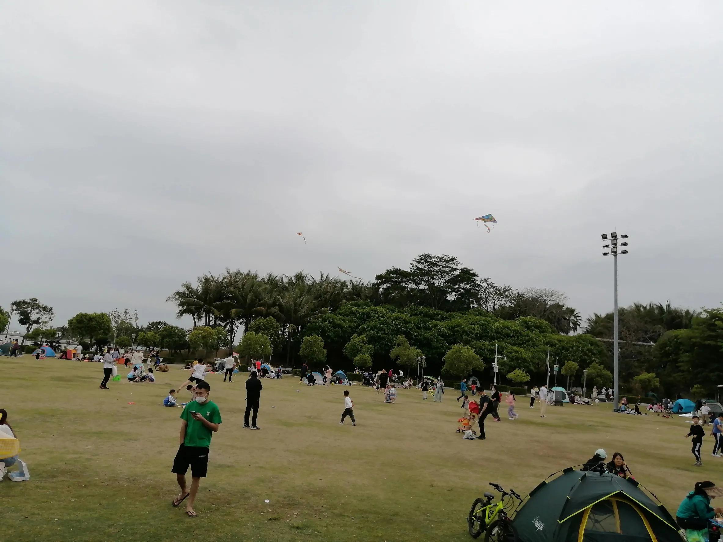 被“困兽”热情拥抱的深圳湾运动公园，该幸福大笑或痛苦尖叫呢？