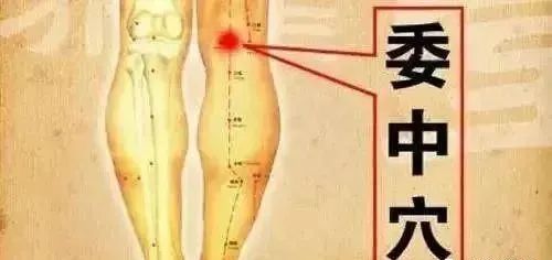 针灸入门必背口诀下载,针灸口诀顺口溜大全