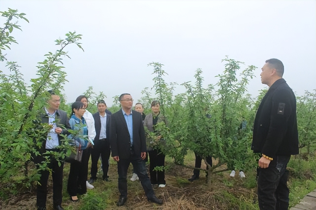 「自贡」“小藤椒”带来“大发展”，非公有制经济人士引领群众脱贫致富