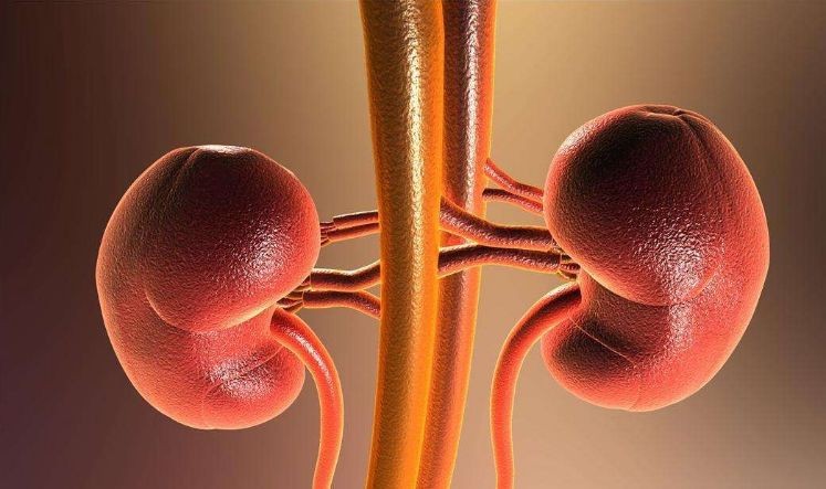 高尿酸是吃出来的少吃六种食物,高尿酸最怕六种食物