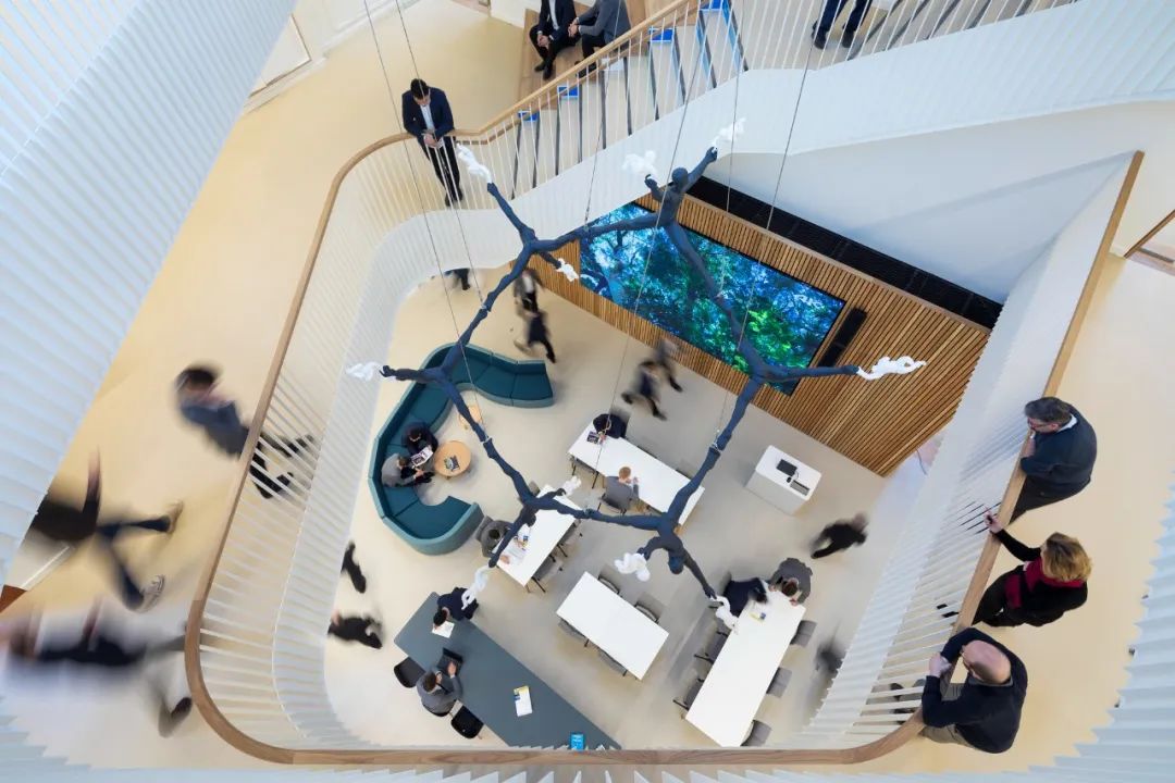 历史遗产的天然教科书｜建在百年历史保护区的学校合集