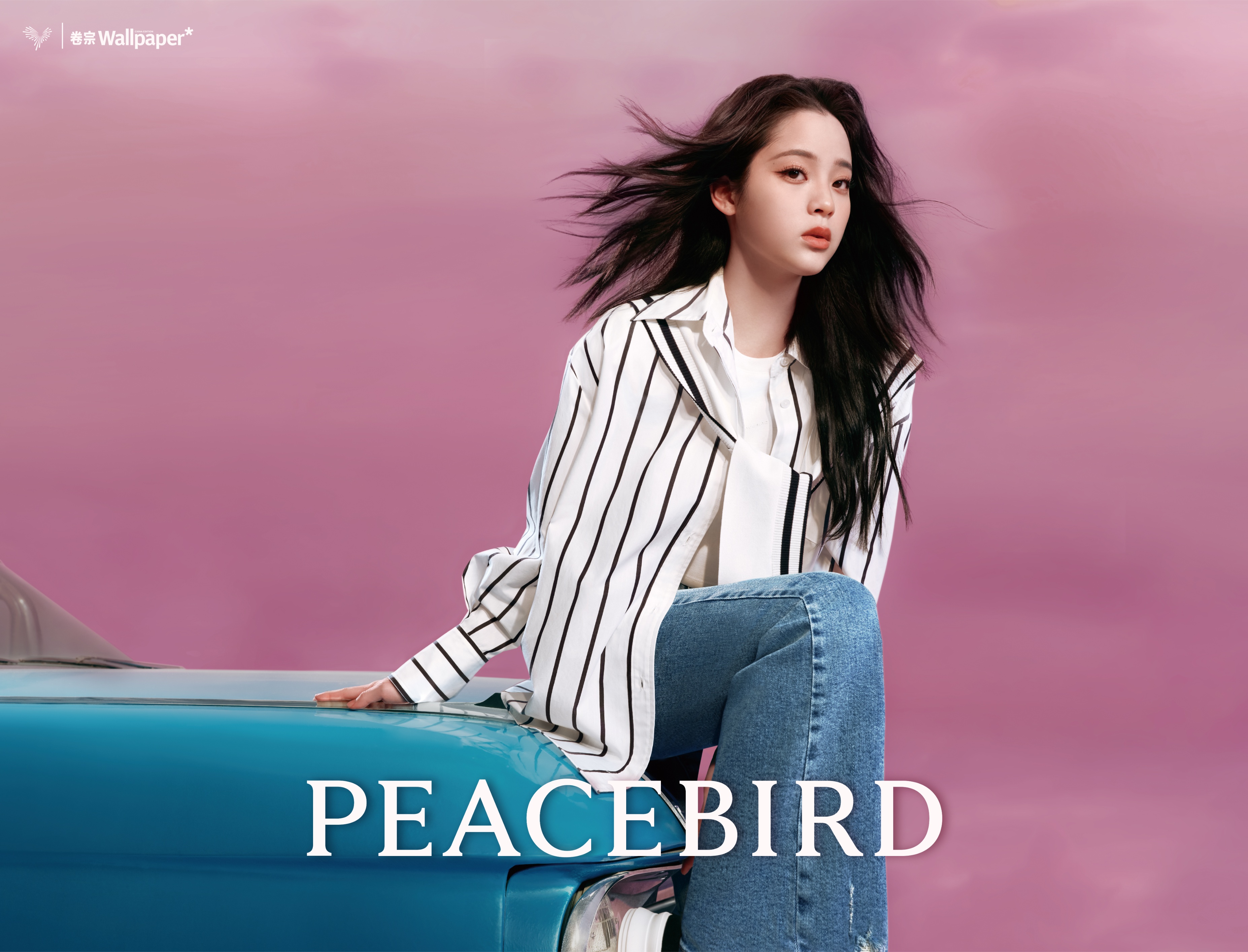 2023，你还飞得动吗？太平鸟