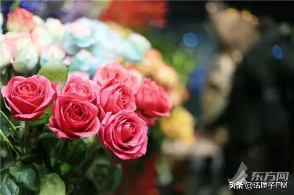 多地99朵玫瑰花束突破千元，沪上花商进货靠“抢”……还买吗？