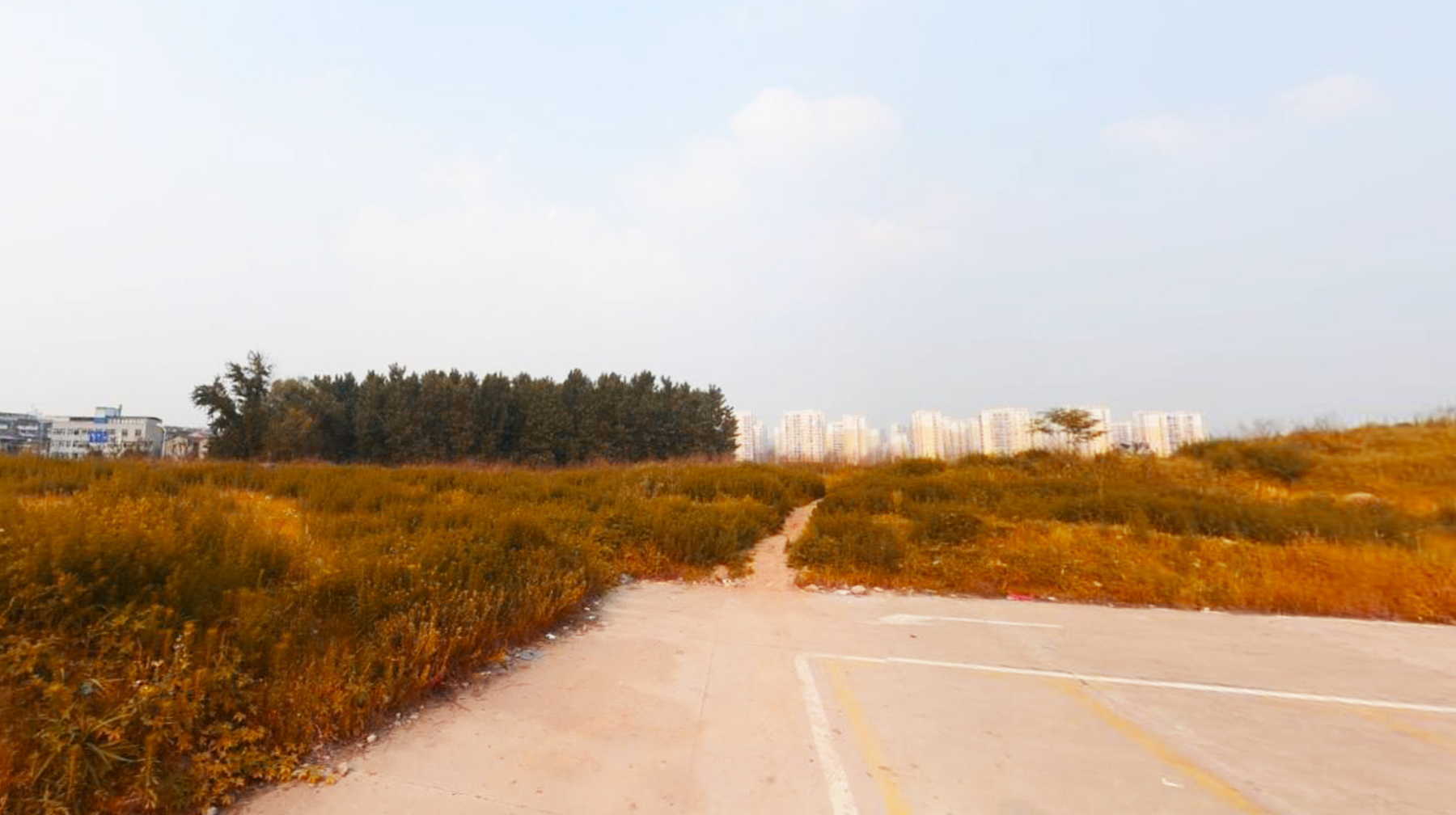 武汉洪山文化体育中心,武汉体育主题公园