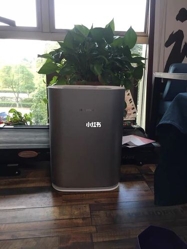 怎么开窗通风除甲醛效果好,如何正确开窗通风除甲醛