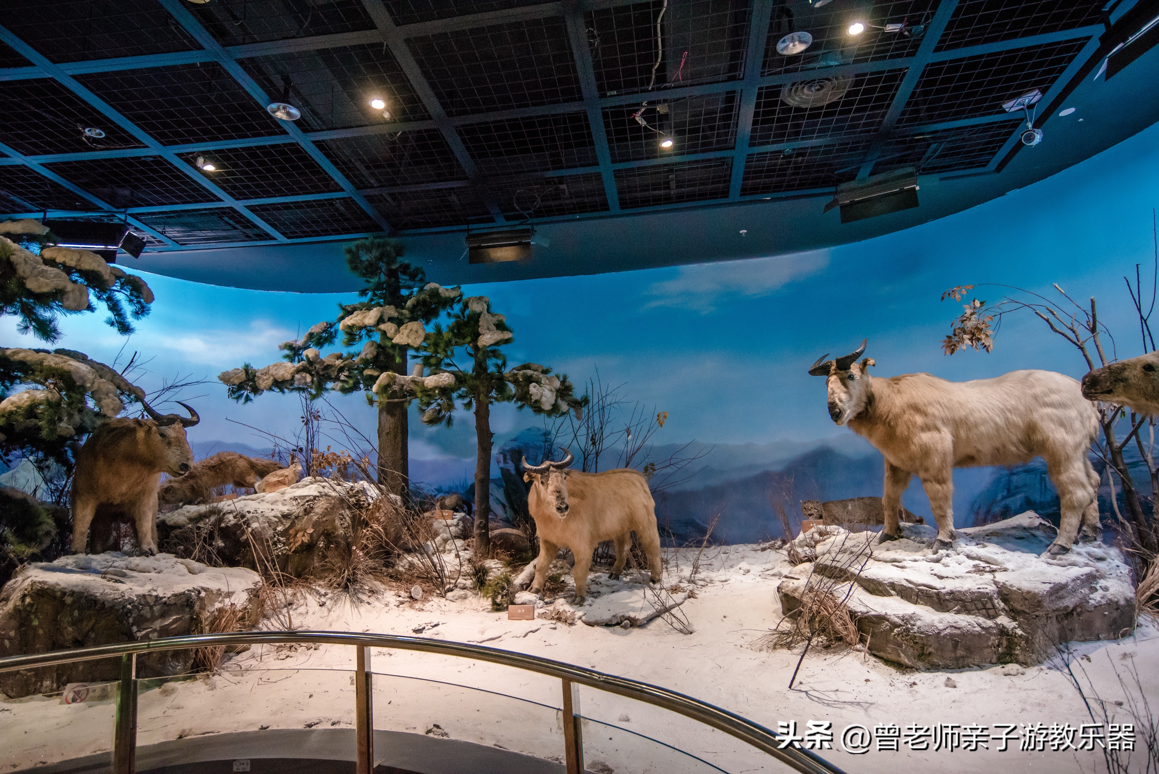 西安出发自驾亲子游,西安亲子游十大排名