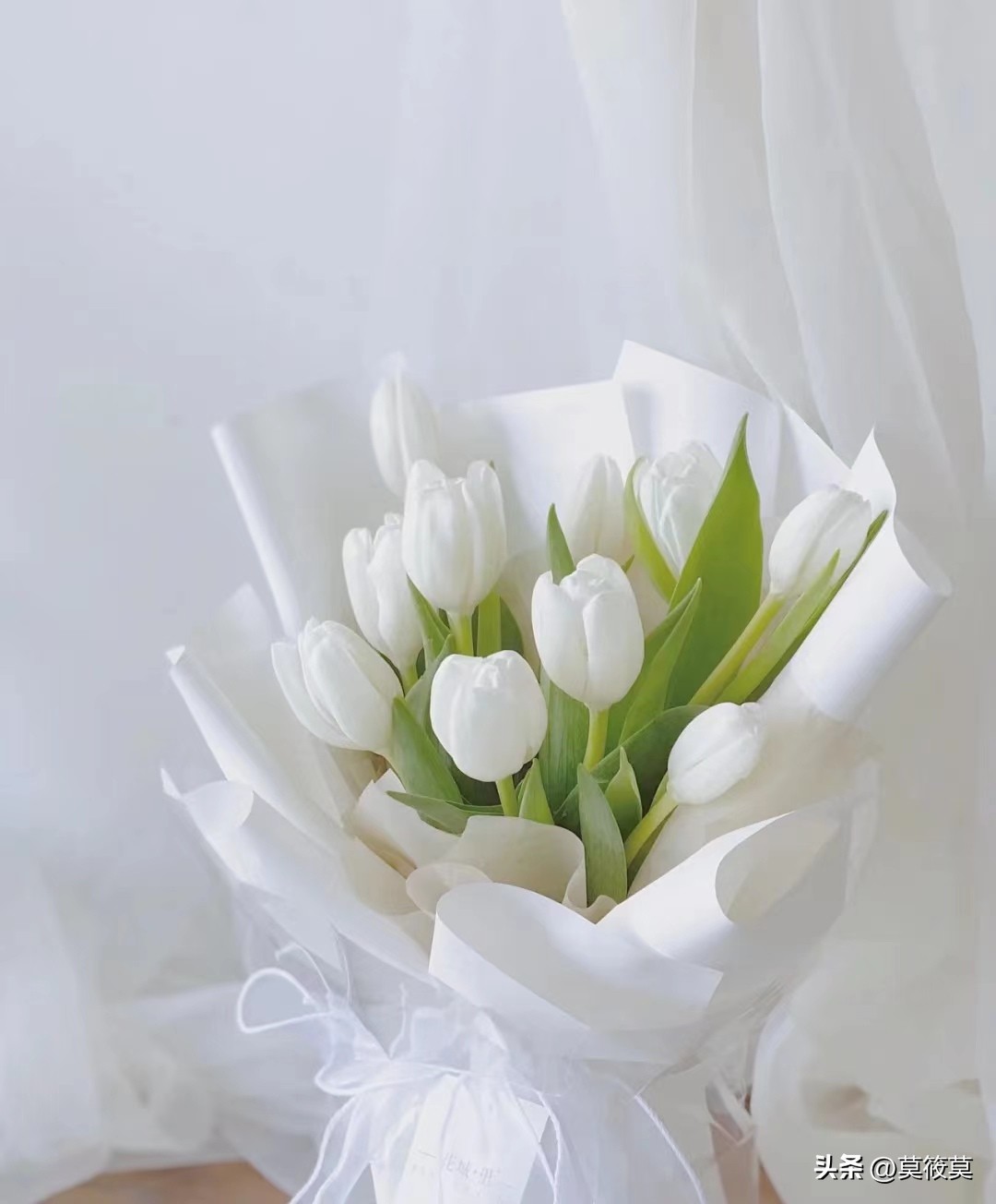 50种常见鲜花的花语大全,各种鲜花的花语和寓意图片欣赏