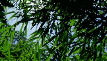 广东惠州旅游攻略3天自由行,惠州罗浮山2天一夜游