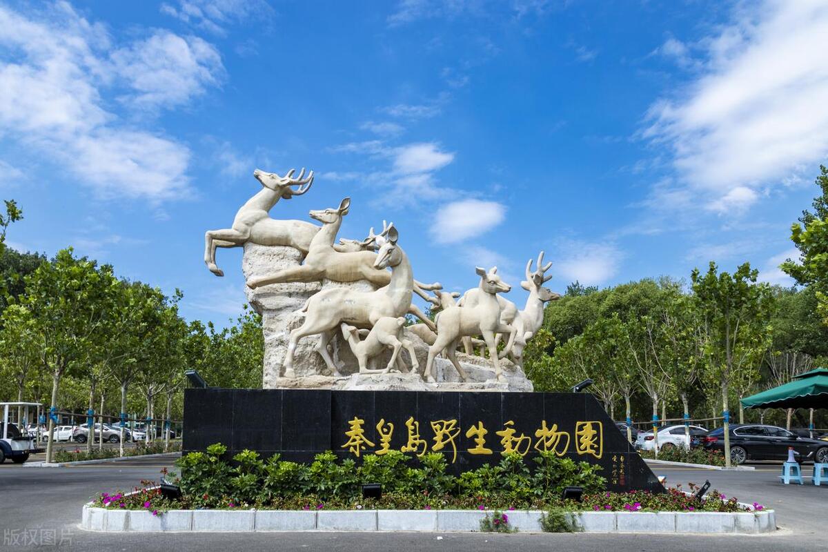 喜欢美景去哪玩,喜欢海边美景释放心情