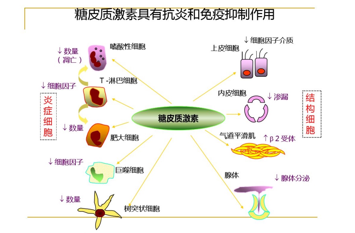 骨质疏松多长时间查一次骨密度,骨质疏松骨密度减少吃什么药