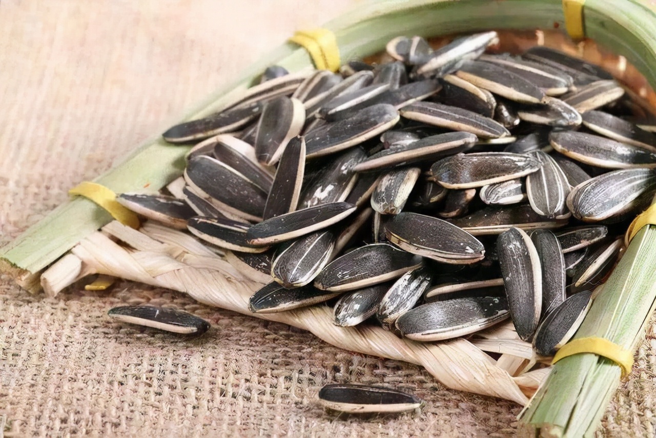 吃花生瓜子能增肥吗,瓜子与花生一个易长胖一个助减肥