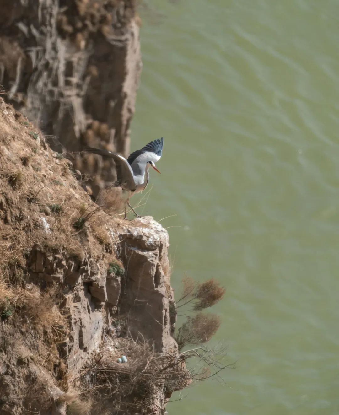 迎接党的20大美术作品,喜迎二十大乡村摄影展