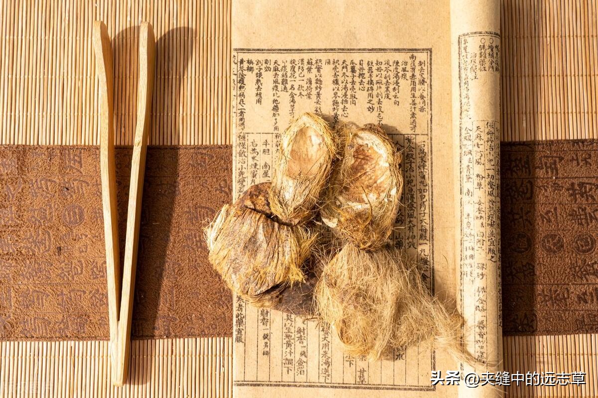 二阳咳嗽咳痰吃什么中成药,白痰和黄痰是火还是寒如何治疗