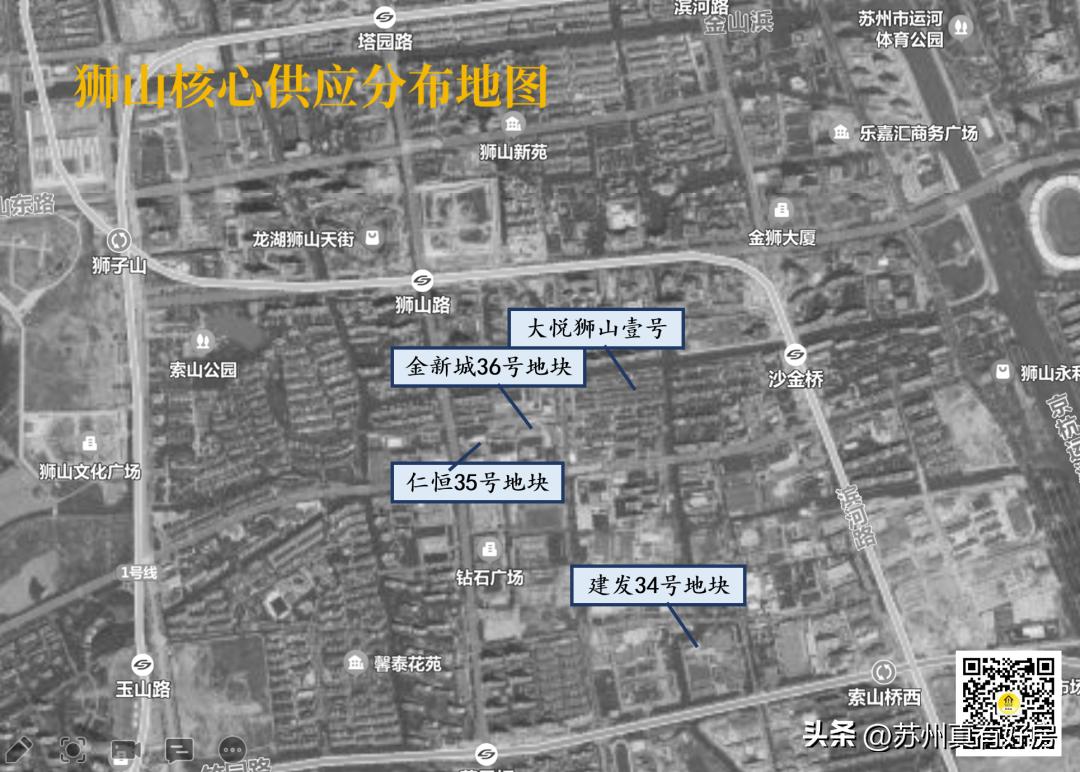 开局四大神兽,四大神盘新房