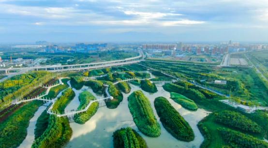 当千年长安,遇上百廿交大!西安交通大学:雨润风暖盛唐景,且待君同览!