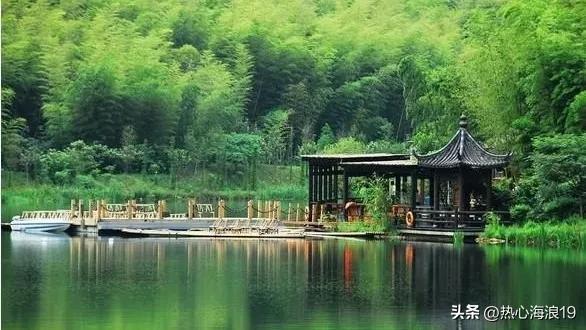 来自中国大竹海的静思