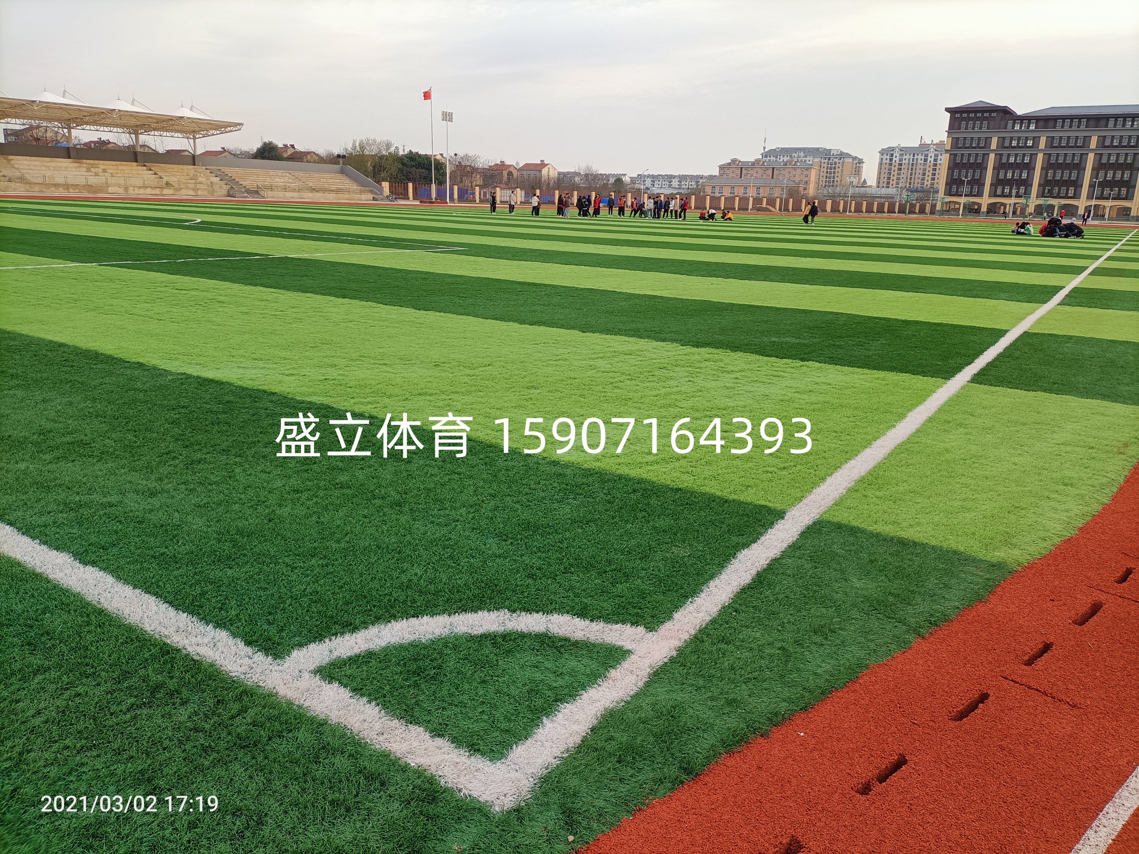 人造草坪与自然草哪个好,填充人造草坪和免填充人造草坪