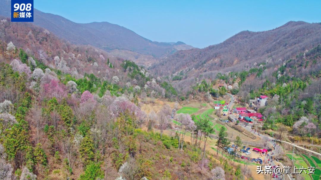 六安这里有一个“亚洲一号”