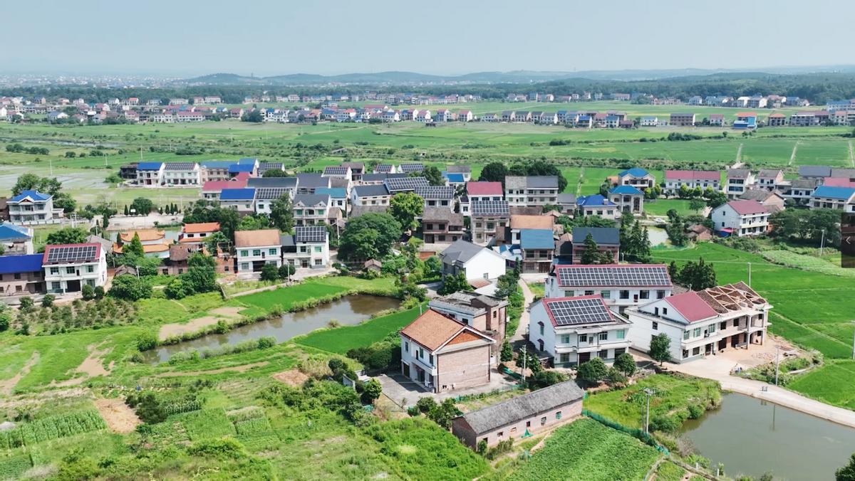 求合作！这家公司开春就给经销商发特斯拉