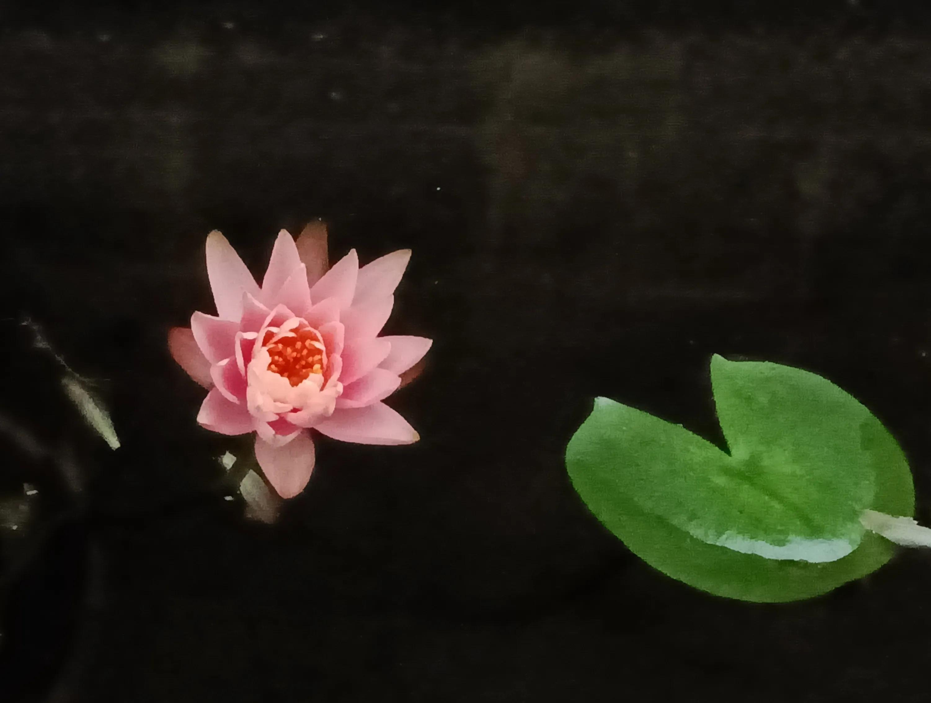 孩子不争气是父母最大的悲哀,成人的孩子不争气大人怎么办