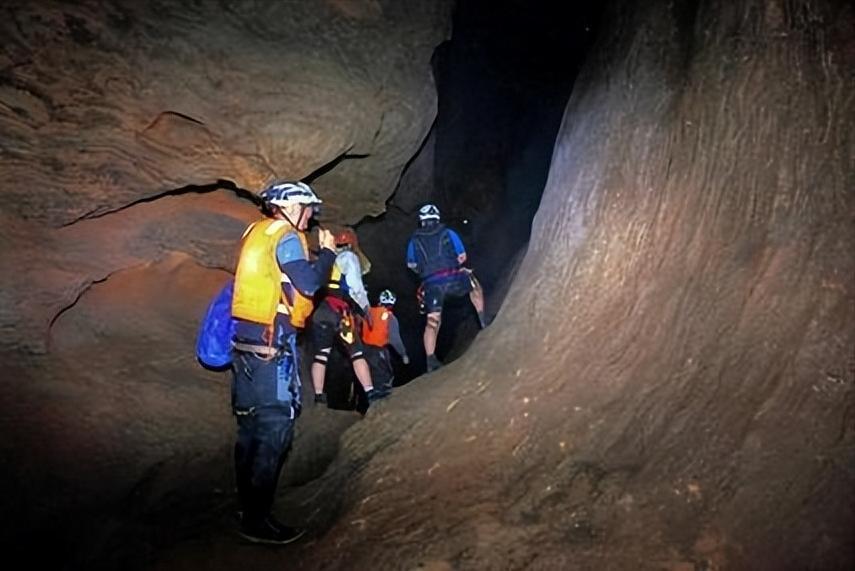 小伙捡到一块长满“金子”的石头,男子散步捡到会发光的石头给20万