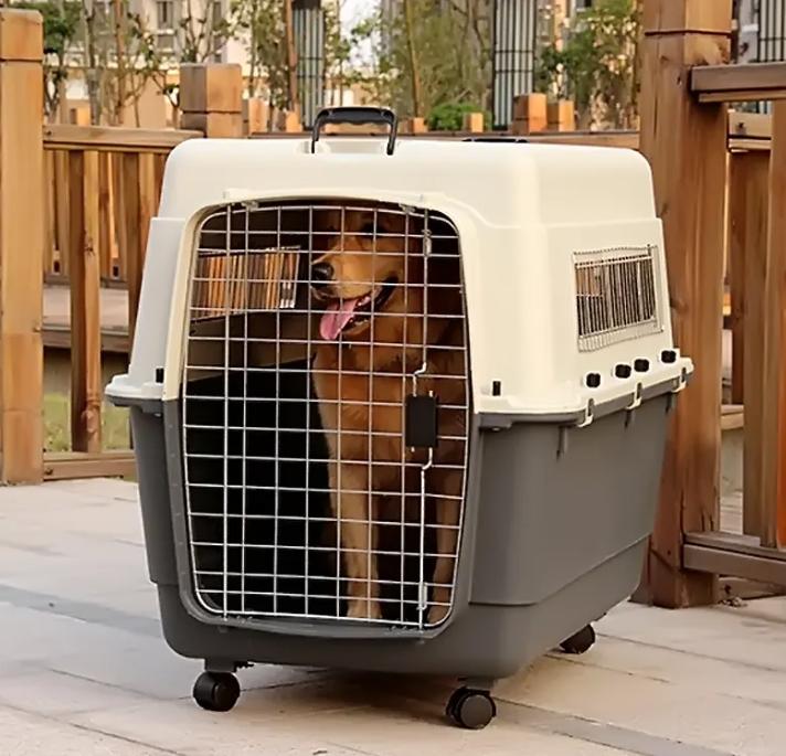 新手养狗这三个东西不需要买,新手养狗哪些不要买