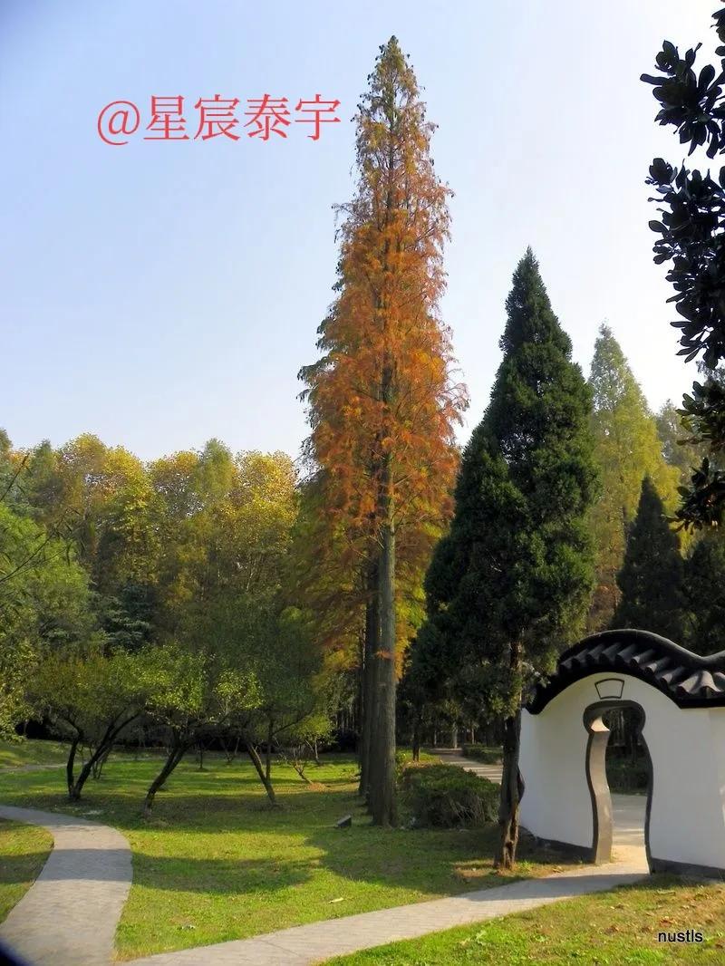 南京理工大学百科介绍,南京理工大学百科简介