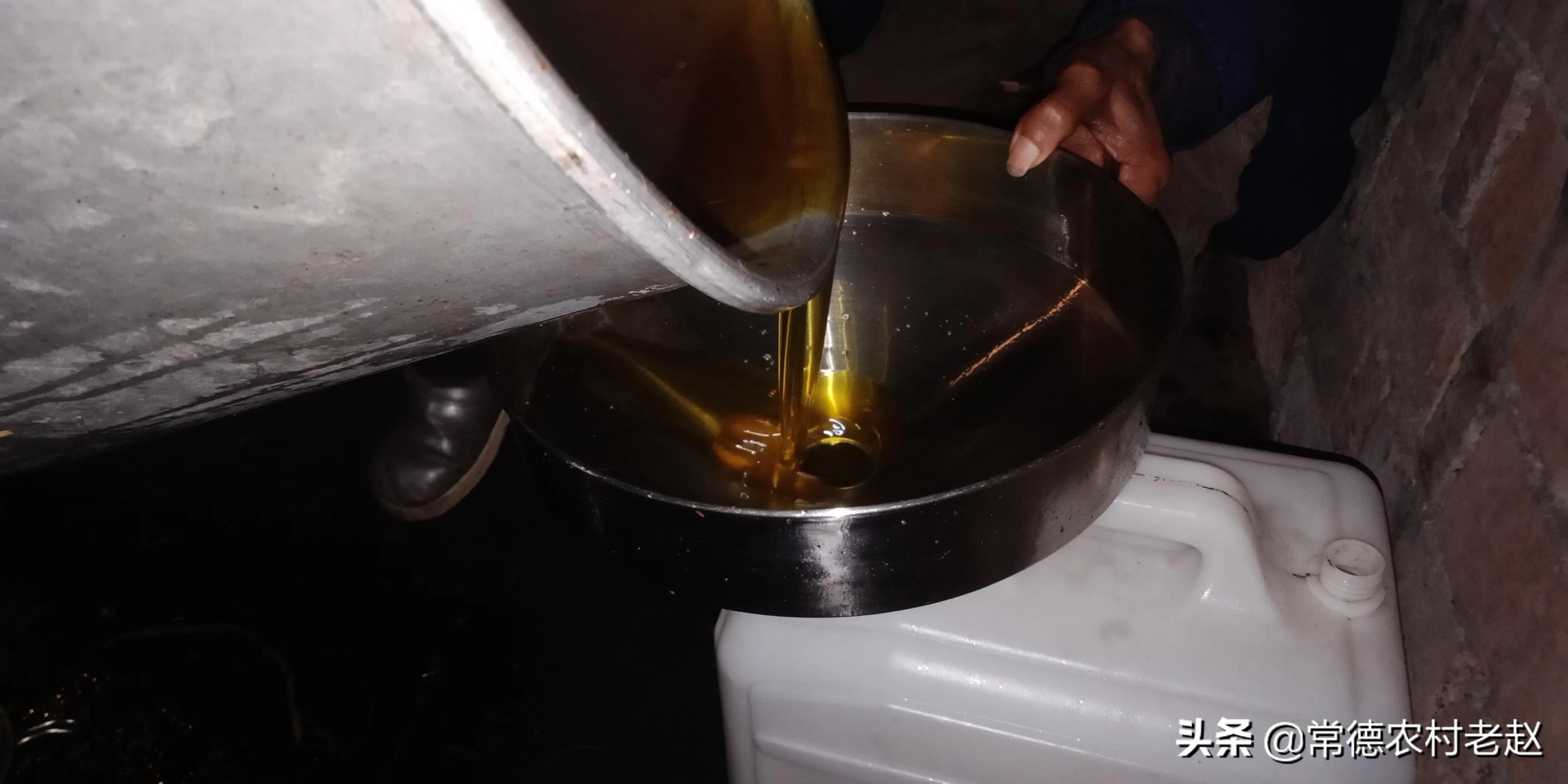 茶籽油发展前景如何,茶籽油为什么有价无市