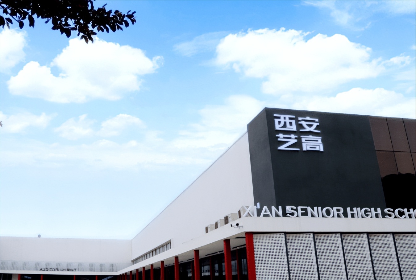 西安普高生舞蹈艺考机构怎么选,西安高中艺考舞蹈考什么