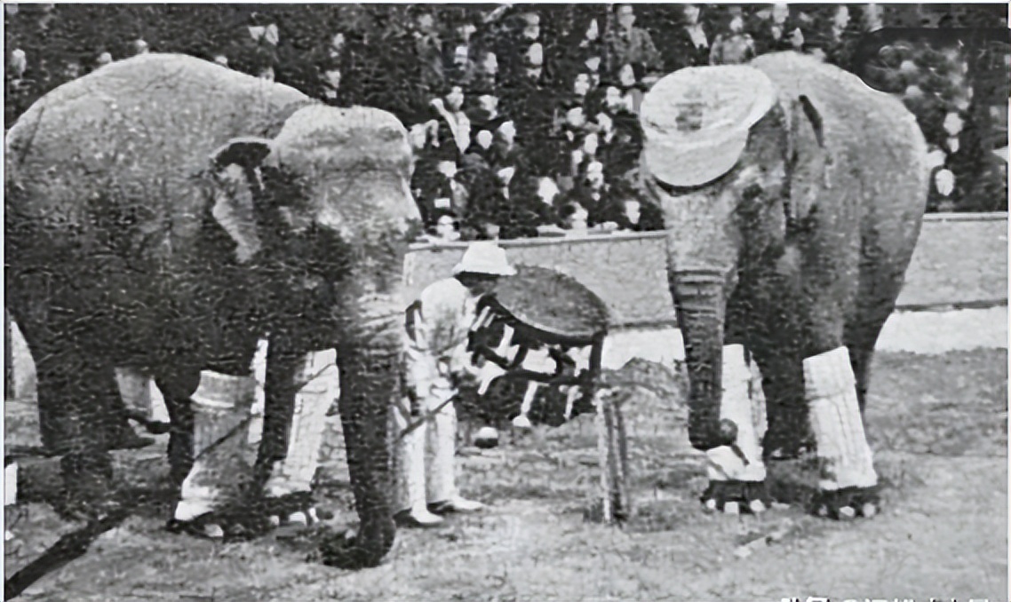 唯一被绞刑的人,唯一被凌迟处死的人