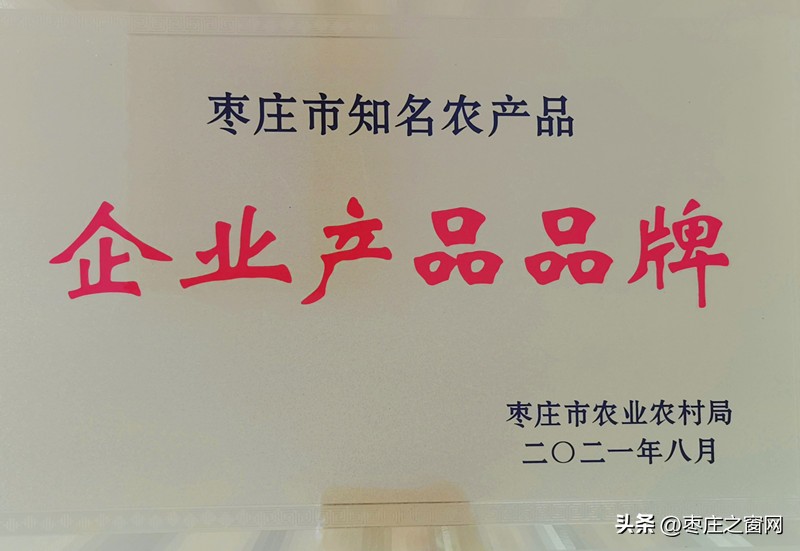 强工兴产转型突围,强工兴产谋发展