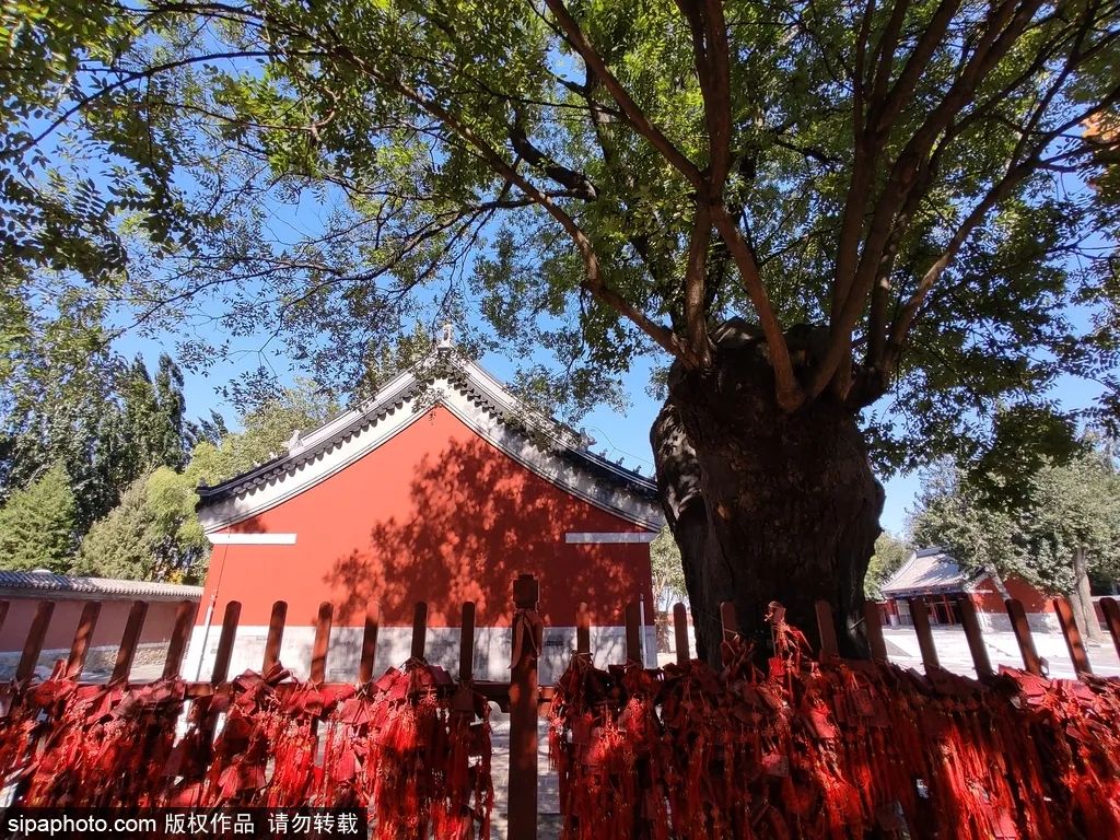 北京的小众博物馆有哪些值得去,北京周三免票的博物馆