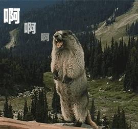 新生儿湿疹的最快最有效土办法,新生儿湿疹怎么去除最简单方法