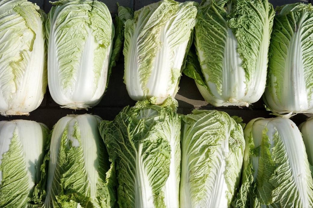 大年初五迎财神要说哪些吉利话,大年初五接财神吃什么最好