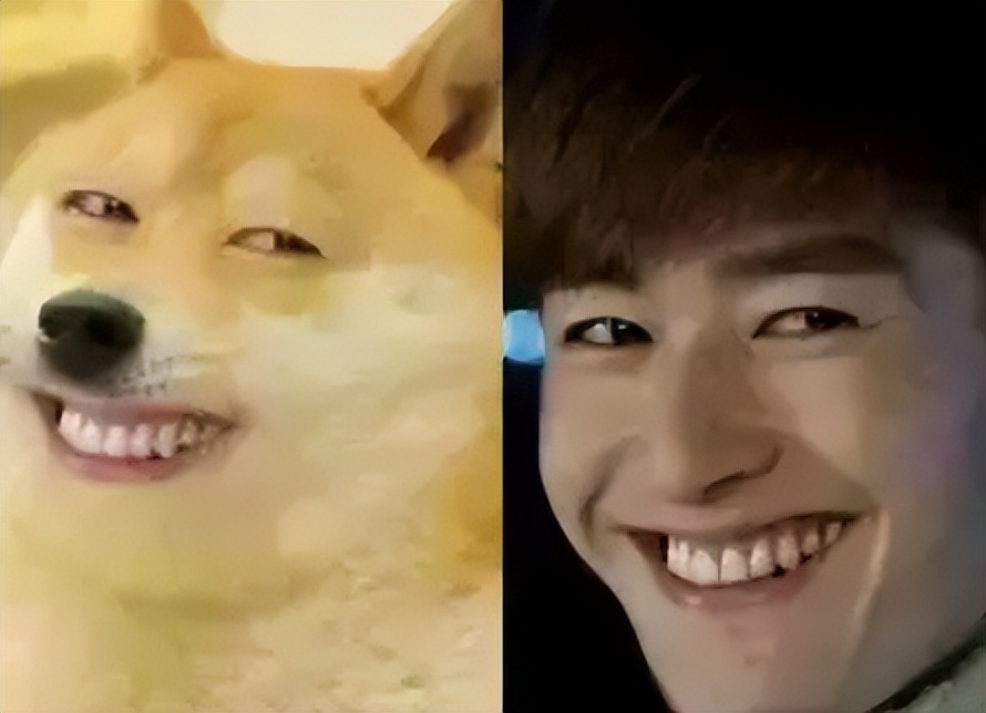 看完张翰做过的事，才知道他取代黄晓明，成为“油王”是众望所归