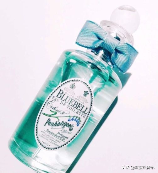 全网最全风信子,风信子蓝色梦幻