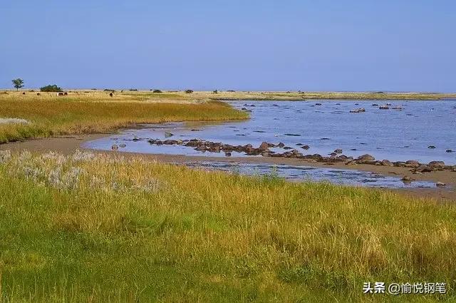 买水风俗过程,买水风俗是哪里的