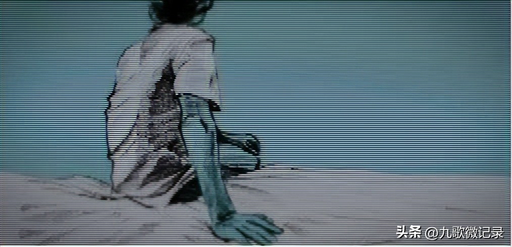 电商职业打假人净化市场,电商职业打假人主要的打假类目